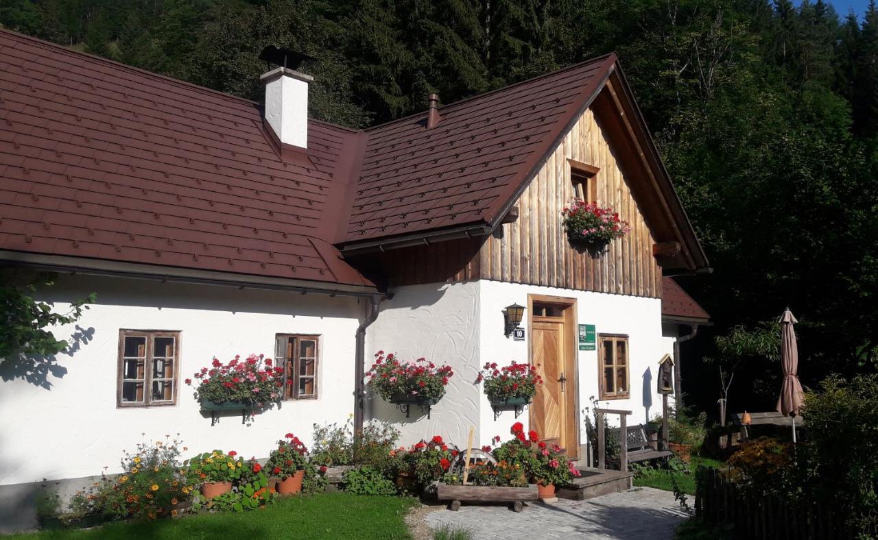 Ferienhaus Lenzau Strohmarkt エクステリア 写真
