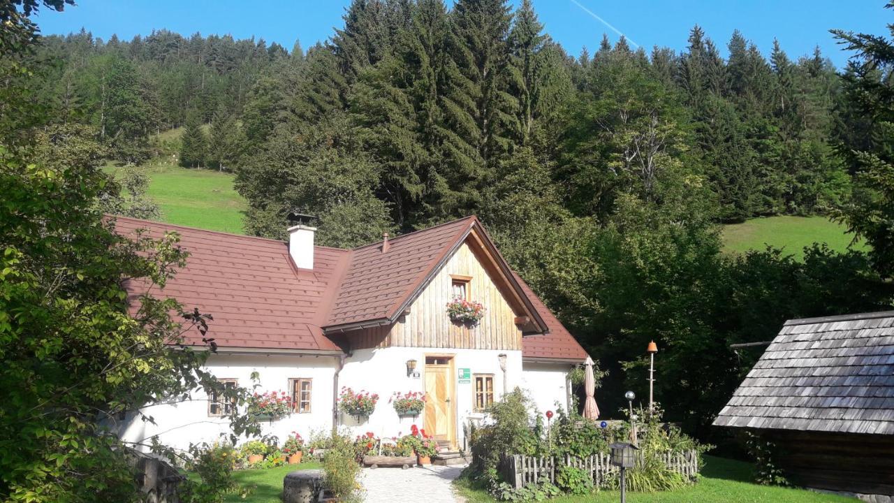 Ferienhaus Lenzau Strohmarkt エクステリア 写真