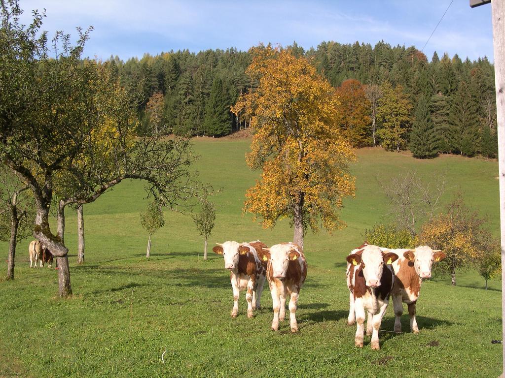 Ferienhaus Lenzau Strohmarkt エクステリア 写真