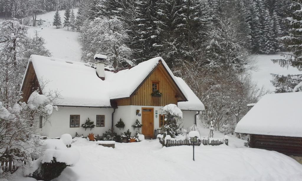 Ferienhaus Lenzau Strohmarkt エクステリア 写真